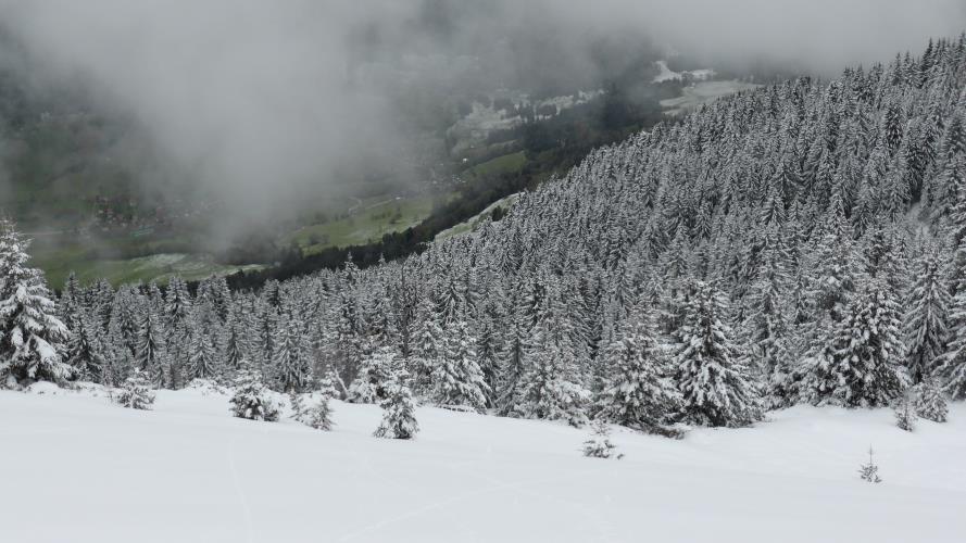 #6 Descente : Bonne poudre Descente : Bonne poudre