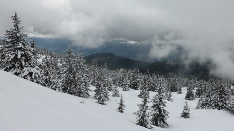 #8 Sous Sechident : Bien blanc Sous Sechident : Bien blanc