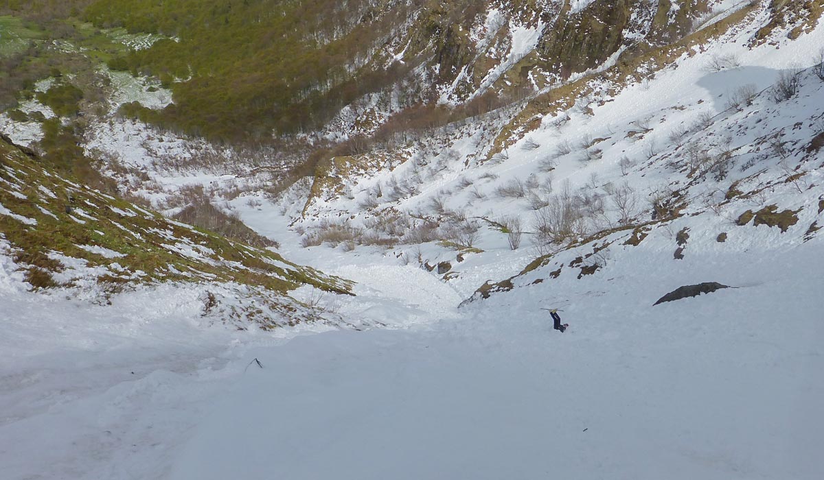#8 La tortue : trop pressé, l La tortue : trop pressé, l'impatient.