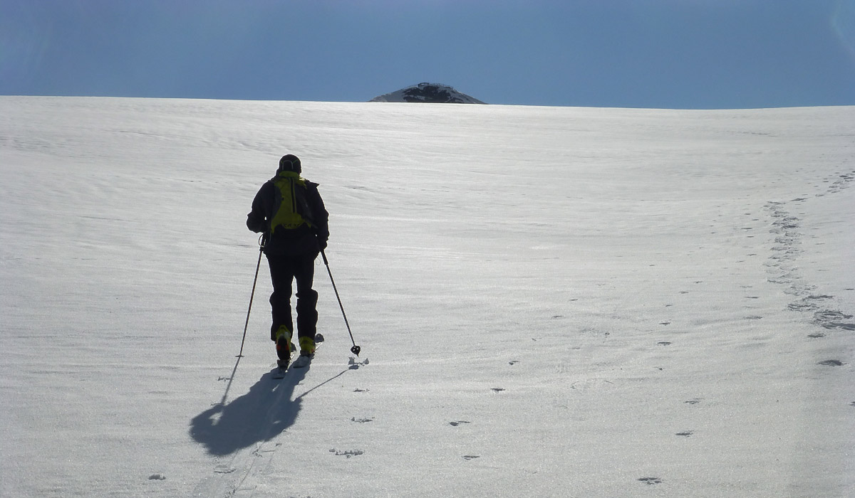 #11 Un régal : qu Un régal : qu'est ce que ça va être en juin!