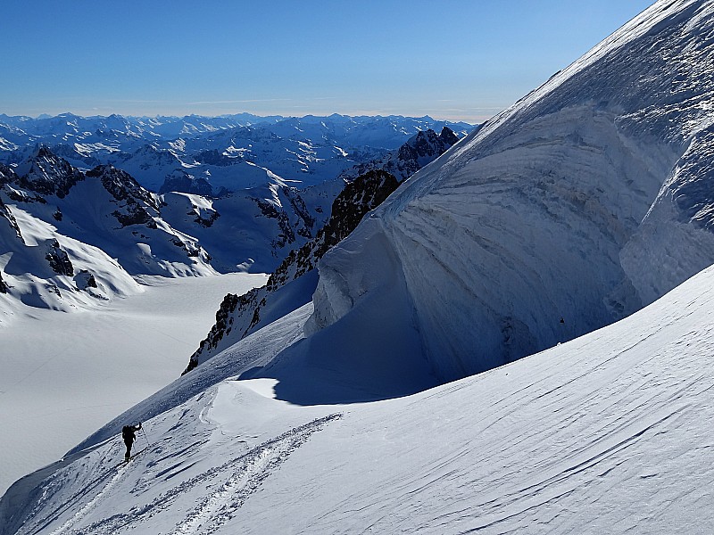 #16 damned ! : on se fait rattraper ! damned ! : on se fait rattraper !