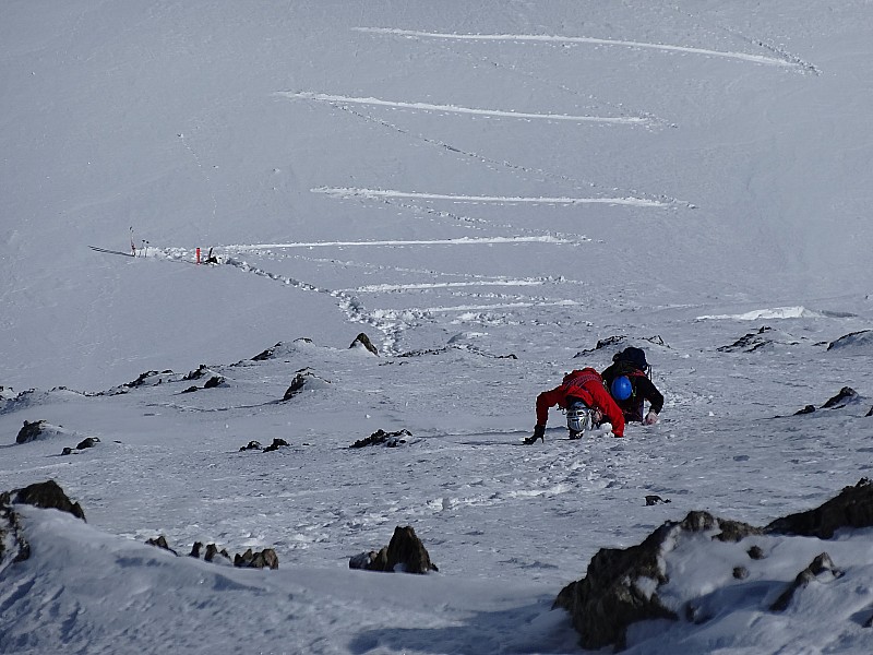 #26 nos compagnons : rejoignent leurs skis nos compagnons : rejoignent leurs skis