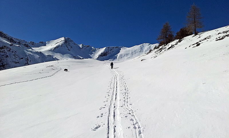 #1 Vers 2100m : Bel enneigement Vers 2100m : Bel enneigement