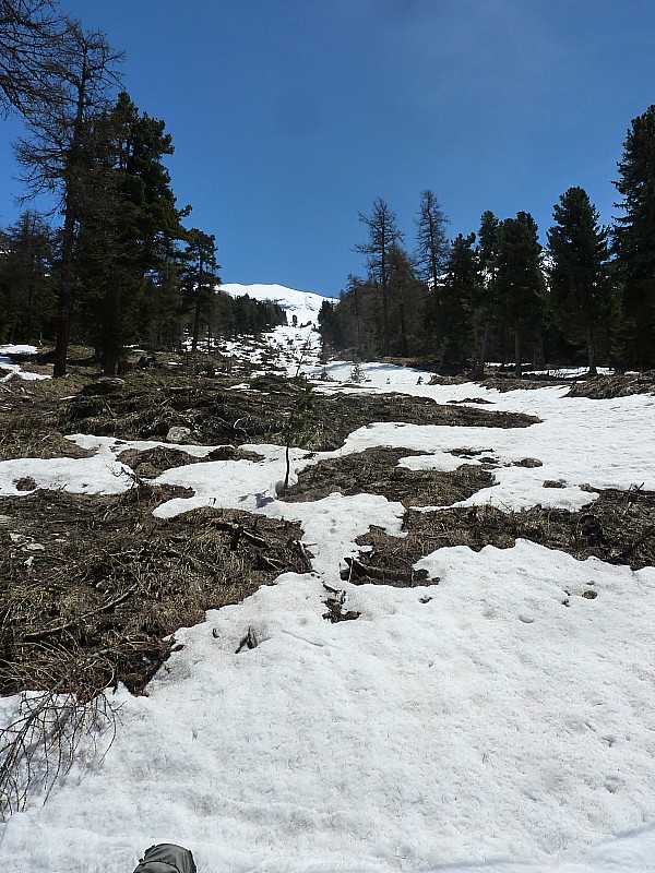 #17 Chemin forestier : Fin de descente Chemin forestier : Fin de descente