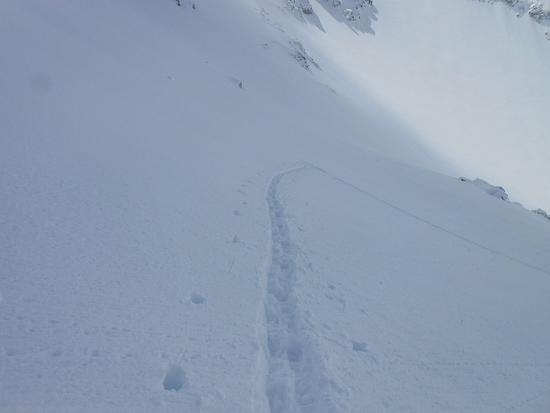 #5 petit van : la descente va etre d petit van : la descente va etre d'anthologie!