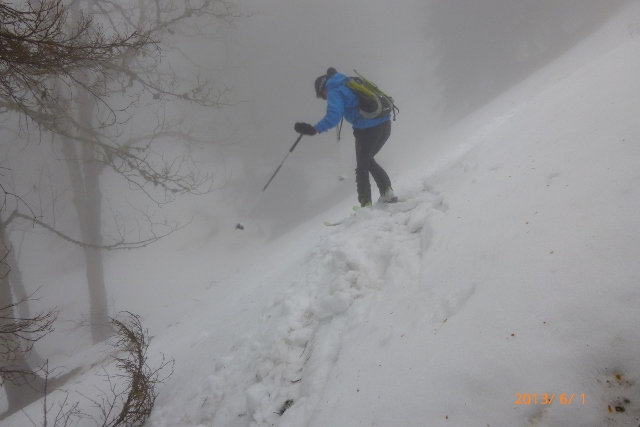 #1 Chartreuse en juin : si si ... la descente est agréable ! Chartreuse en juin : si si ... la descente est agréable !