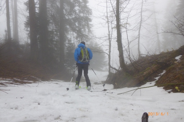 #2 Chartreuse en juin : fin des hostilités au pied de la combe nord du Petit Som. Chartreuse en juin : fin des hostilités au pied de la combe nord du Petit Som.
