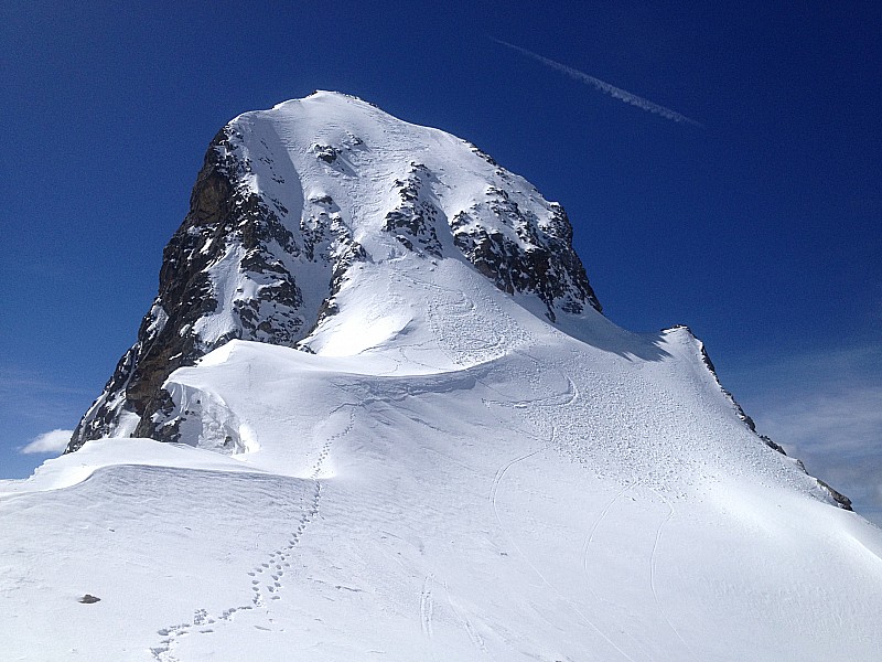 #19 Cime de la Maledie : 2 traces de ski...... Cime de la Maledie : 2 traces de ski......