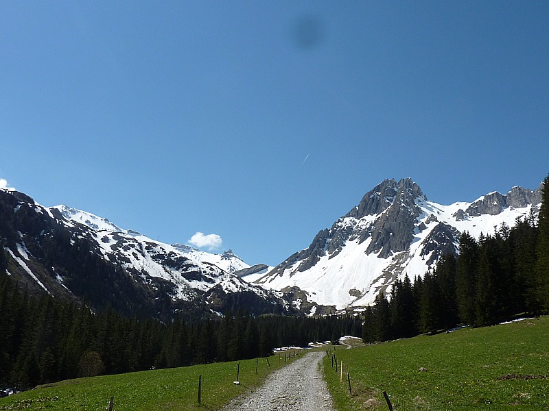 #5 Aiguilles de la Pennaz : La neige est encore bien présente.
Beau contraste avec la verdure environnante. Aiguilles de la Pennaz : La neige est encore bien présente.
Beau contraste avec la verdure environnante.