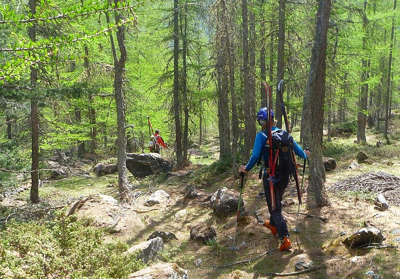 #15 Petite marche dans la verdure, c Petite marche dans la verdure, c'est la fin !!!