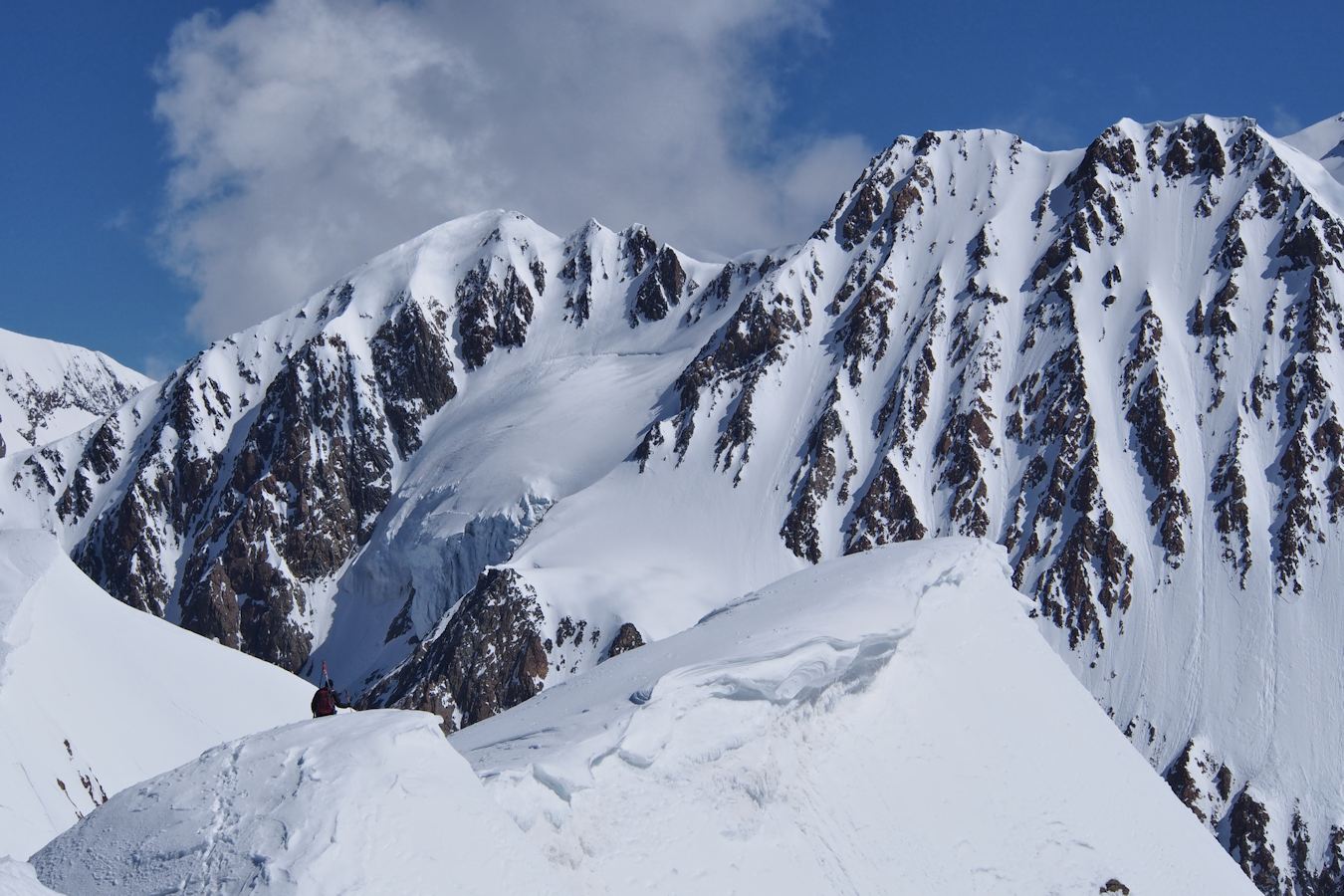 #15 arête vers le col de la Scie : Nos compagnons d arête vers le col de la Scie : Nos compagnons d'un instant débutent la traversée.