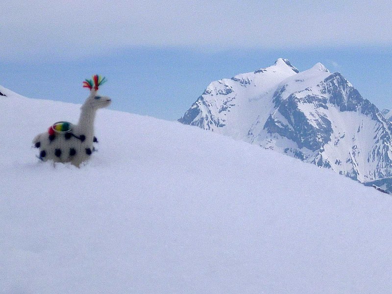 #16 depuis le col du Borgne : derniers coins de cile bleu vers l depuis le col du Borgne : derniers coins de cile bleu vers l'ESt, il est temps de filer!