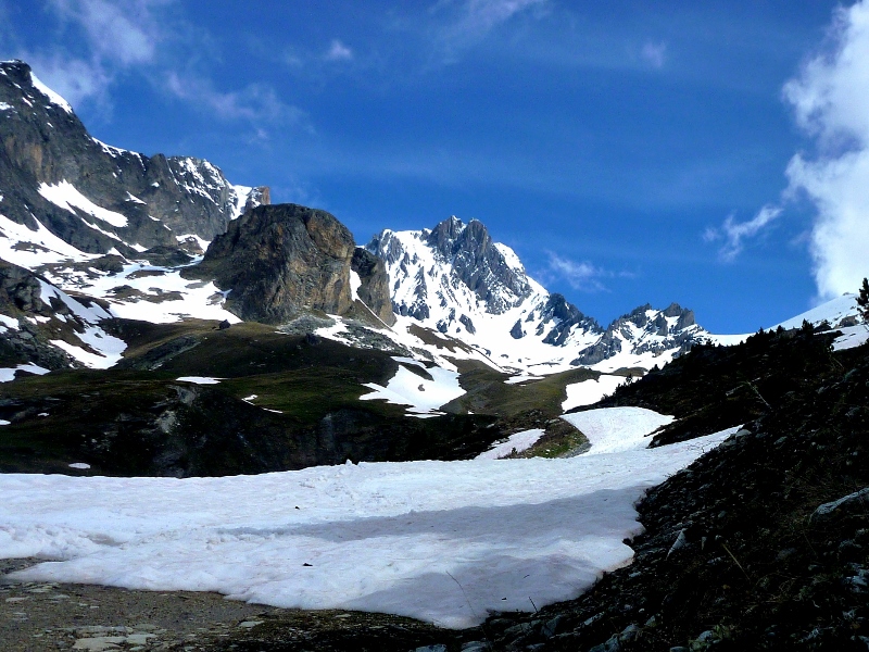 #21 la dent parrachée la dent parrachée