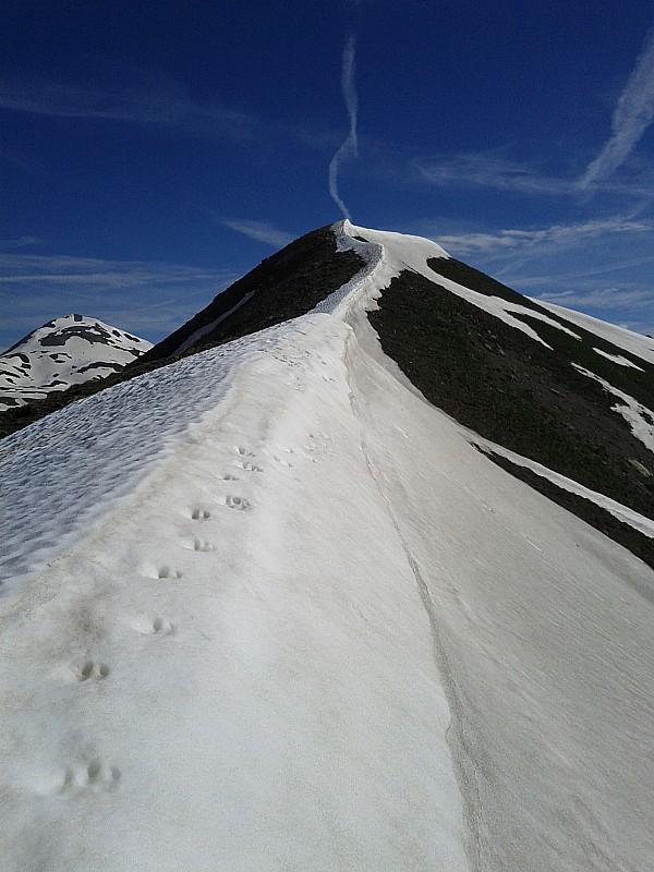 #4 arête sud de l arête sud de l'alpe : il n'y en aura plus pour longtemps