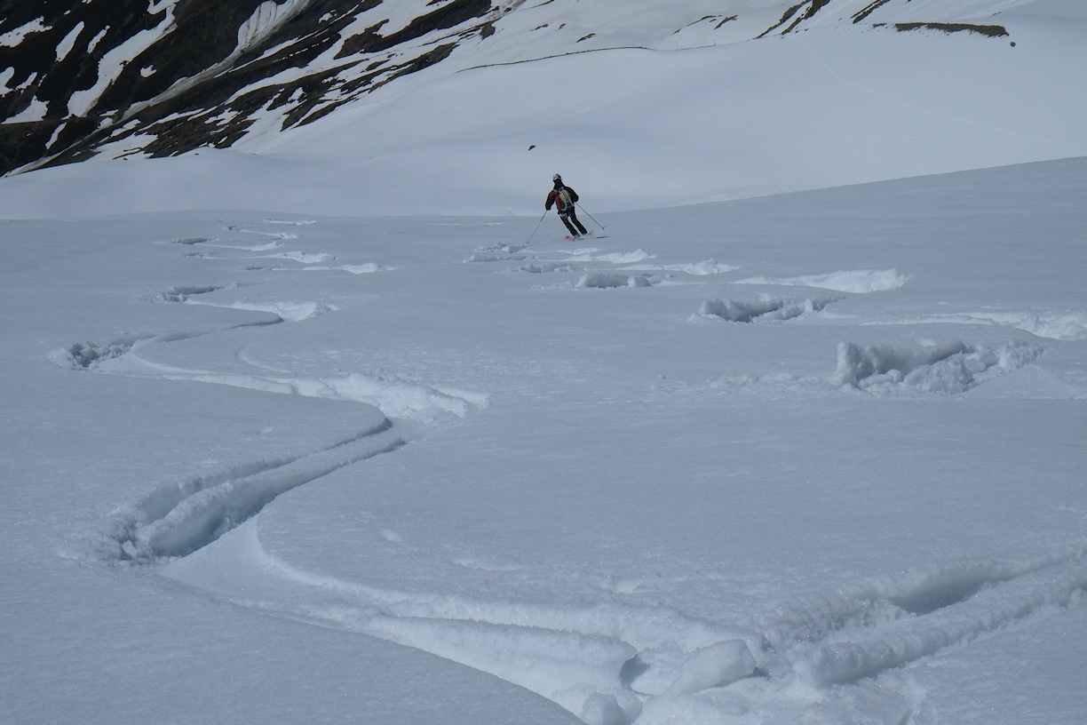 #26 Aiguille des Glaciers : On a réussi à faire de belles courbes, quand même ! On voit bien que la poudre était bonne ;-)) Aiguille des Glaciers : On a réussi à faire de belles courbes, quand même ! On voit bien que la poudre était bonne ;-))