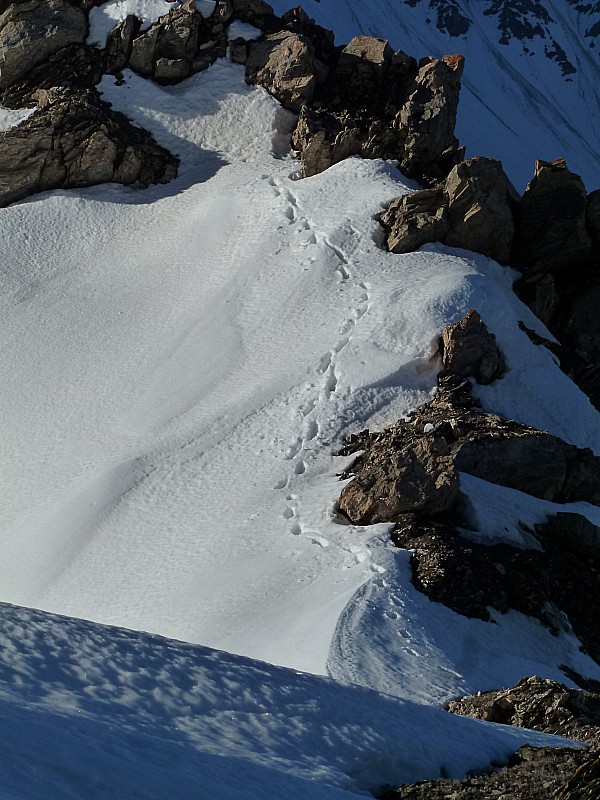 #3 Montagne des Glaciers : Passage de l Montagne des Glaciers : Passage de l'arête