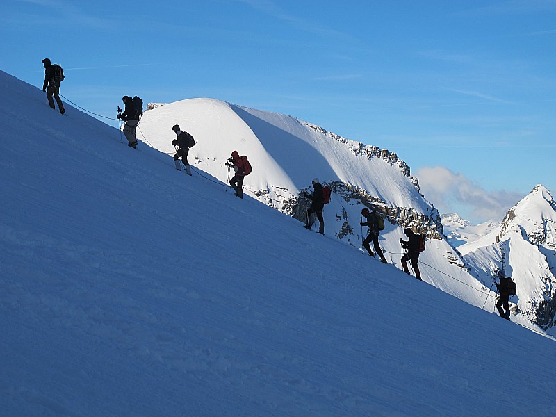 #3 Cordée : Plusieurs chenilles à la montée. Cordée : Plusieurs chenilles à la montée.