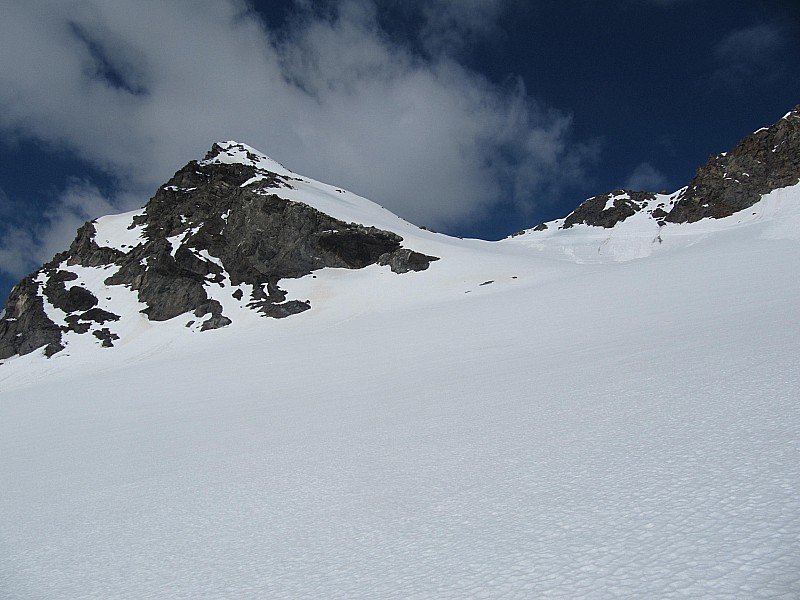 #6 Le col : Lory Le col : Lory