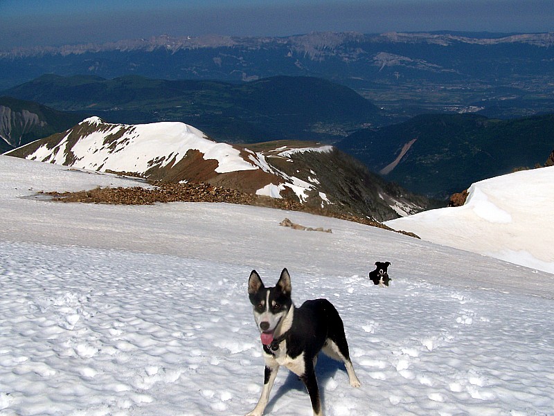 #8 Taillefer Pyramide : la crète du petit Taillefer Taillefer Pyramide : la crète du petit Taillefer