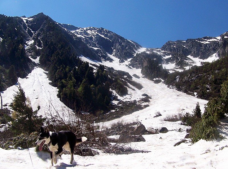 #14 Taillefer Pyramide : couloir du lac de la Courbe rive droite Taillefer Pyramide : couloir du lac de la Courbe rive droite