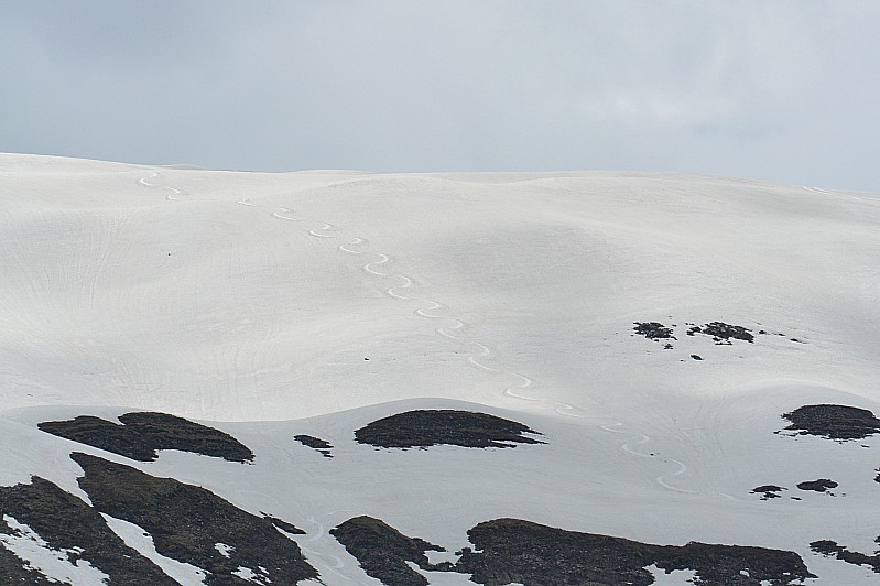 #15 Trace : ça vaut le coup de skier en juin! Trace : ça vaut le coup de skier en juin!