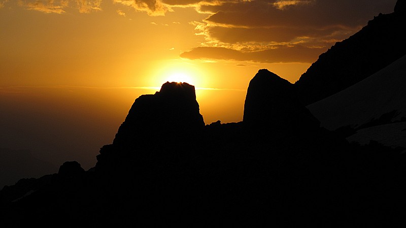 #10 Le loup : De belles oreilles! Le loup : De belles oreilles!