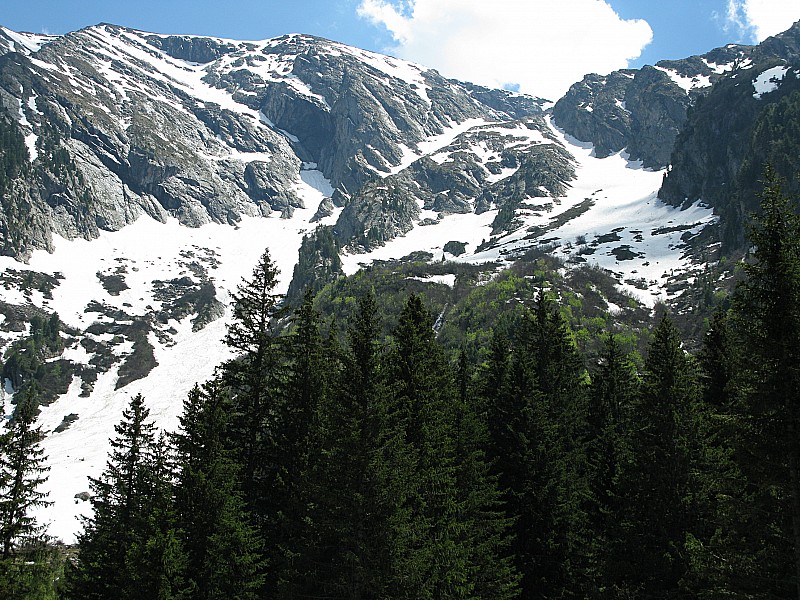 #12 Face nord du Taillefer : ... en fait si, c Face nord du Taillefer : ... en fait si, c'était possible: Il y avait des traces récentes des deux cotés du rognon, dans le grand couloir nord du Taillefer. Là ça descendait jusque pas très loin du Poursollet.