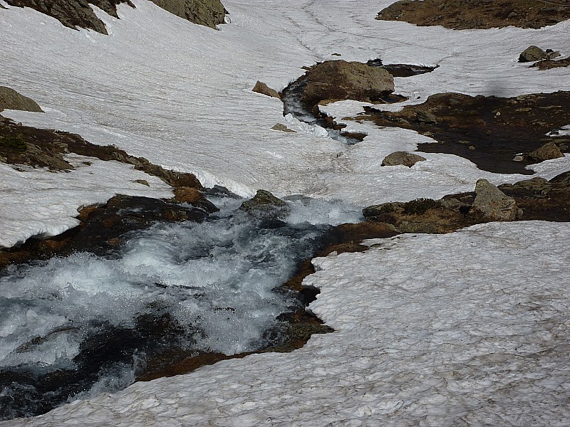 #10 Lac du Crozet : C Lac du Crozet : C'est le printemps, à 3 jours de l'été