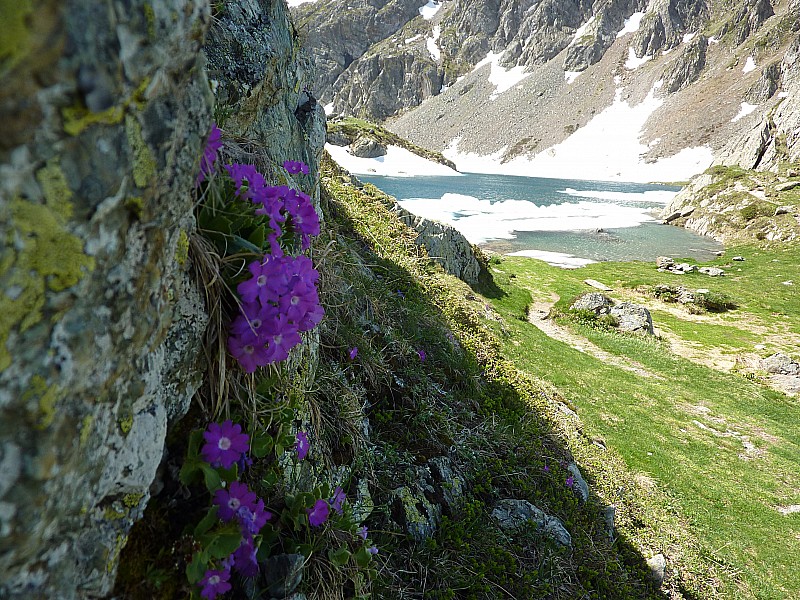 #15 Lac du Crozet : Un dernier regard Lac du Crozet : Un dernier regard