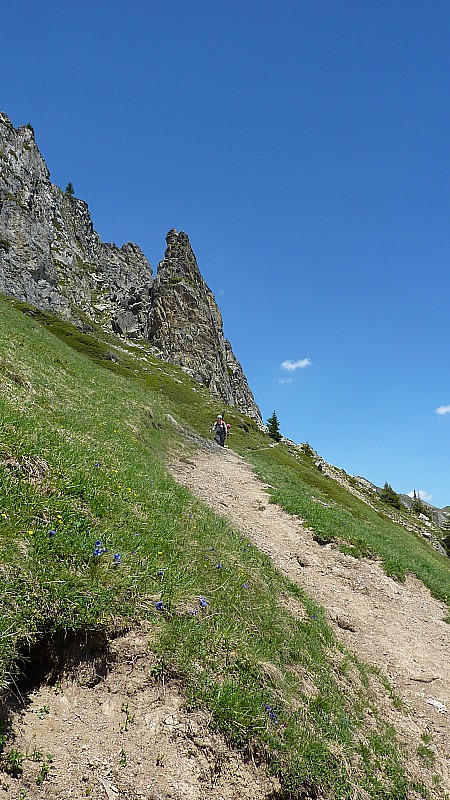 #13 Fin du parcours : à pied au milieu des fleurs Fin du parcours : à pied au milieu des fleurs