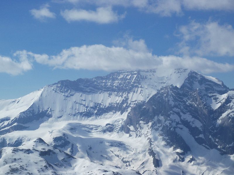 #6 Grande Casse : sans Grande Casse : sans