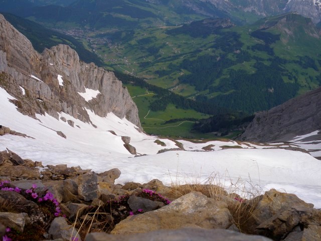 #1 Vue du haut de Gd Crêt : Encore un très bon enneigement. Vue du haut de Gd Crêt : Encore un très bon enneigement.