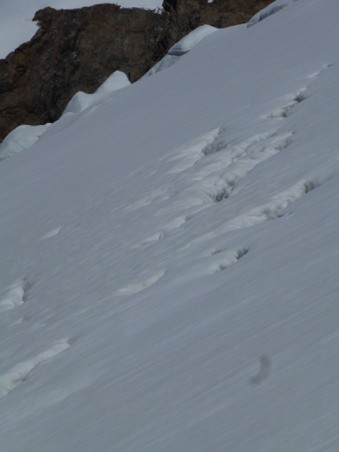 Glacier des glaciers : Les crevasses se montrent