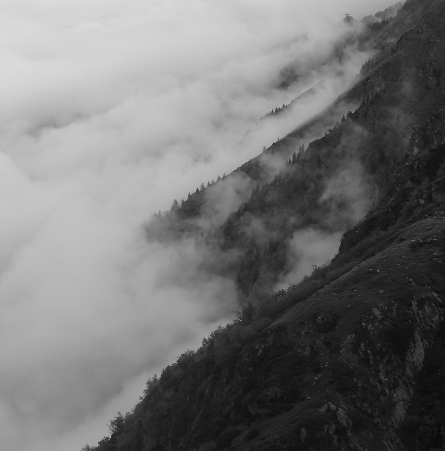 #4 Comberousse : Gorilles dans la brume Comberousse : Gorilles dans la brume