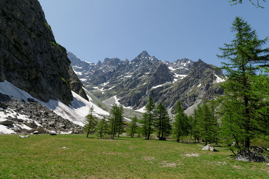 Dôme des Ecrins : Pré de Mme Carle: c'est l'été !