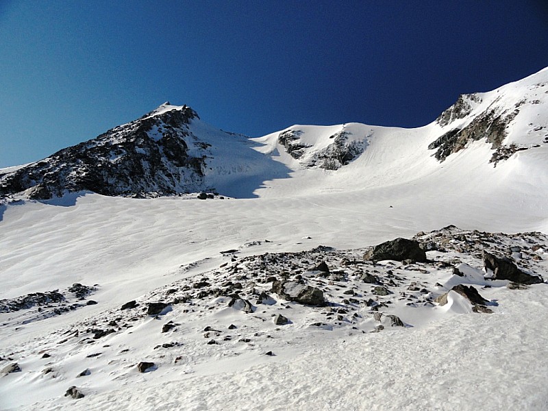 Mont Pourri : La suite en direction du col des Roches