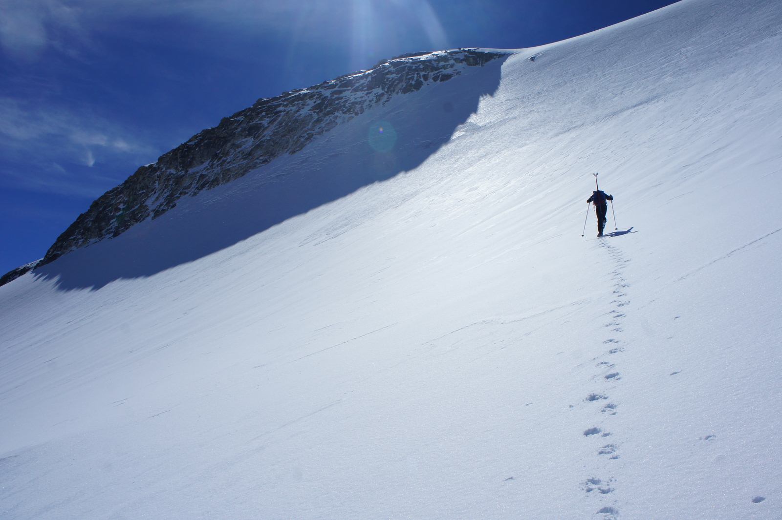 #9 La face terminale La face terminale