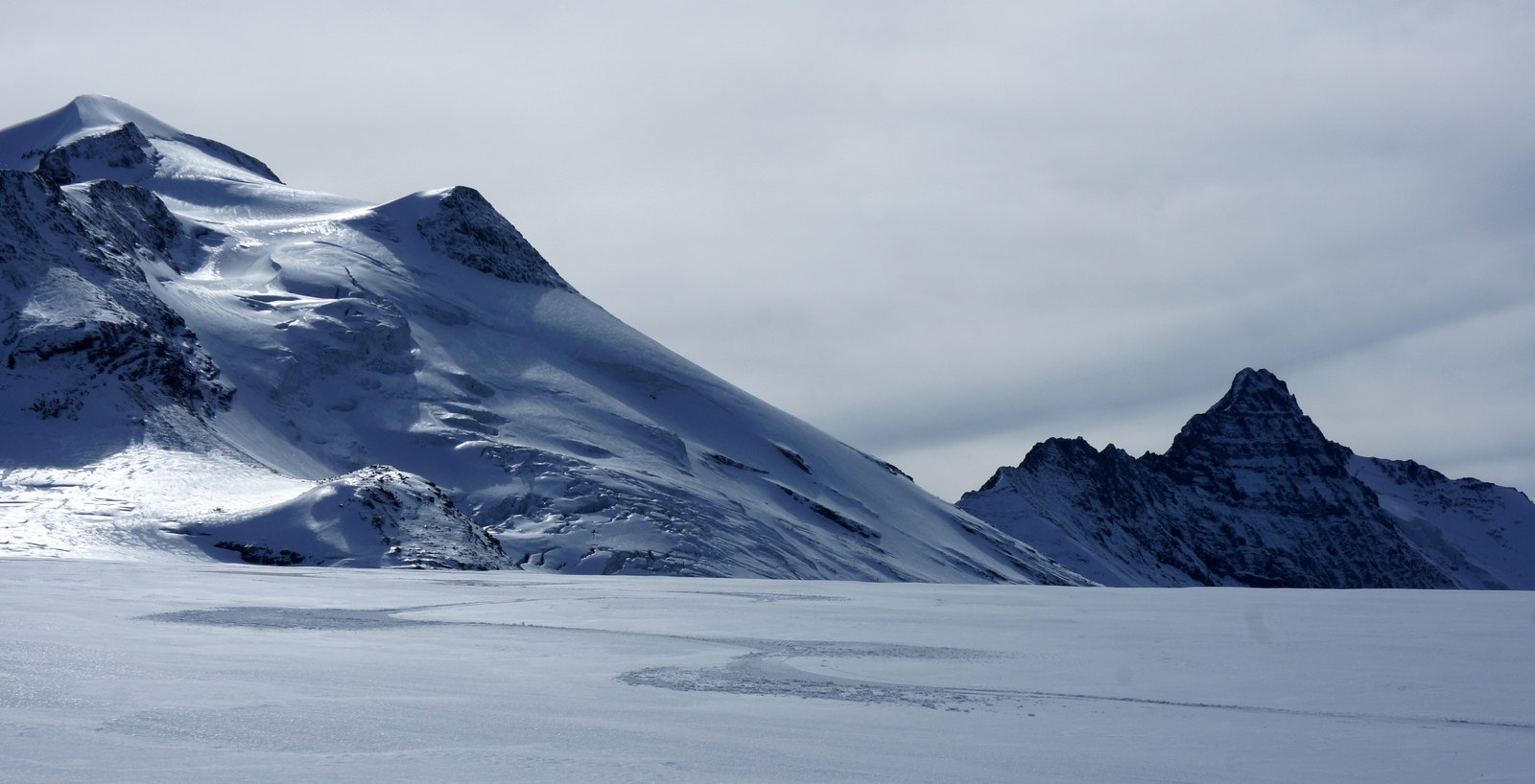#21 Trace de moquette... de septembre. Trace de moquette... de septembre.
