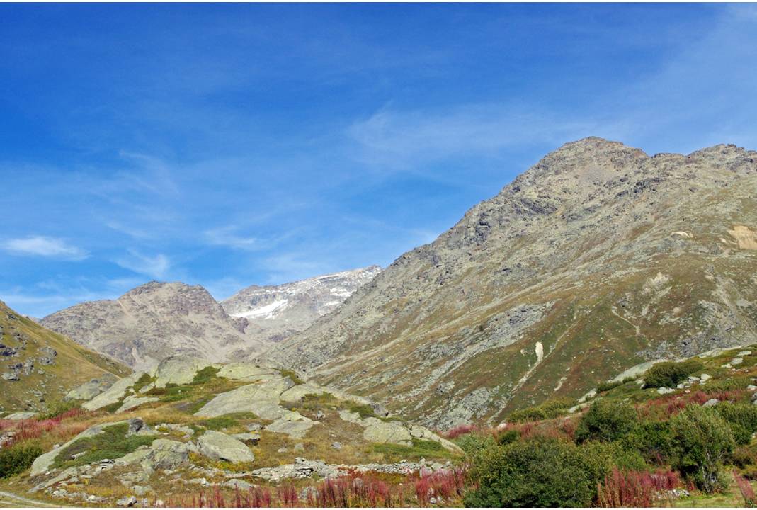 #15 Jardin d Jardin d'Afrique : L'Ecot.. posée sur les gneiss du Grand Paradis... comme un jardin éphémère, africain... Vive les émotions du ski d'automne.