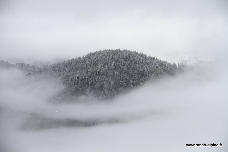 Îlot d'altitude