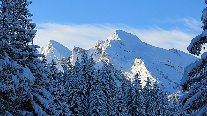 #1 Hiver : ca fait hiver, même si dans qq jours il n Hiver : ca fait hiver, même si dans qq jours il n'y aura plus rien