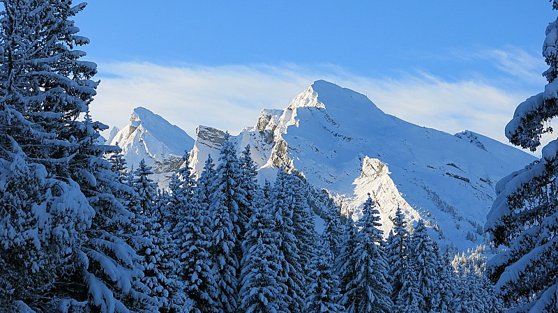 Hiver : ca fait hiver, même si dans qq jours il n'y aura plus rien