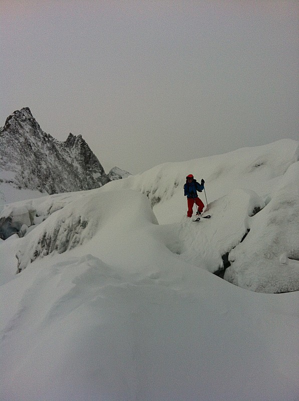 #17 entre des crevasses entre des crevasses