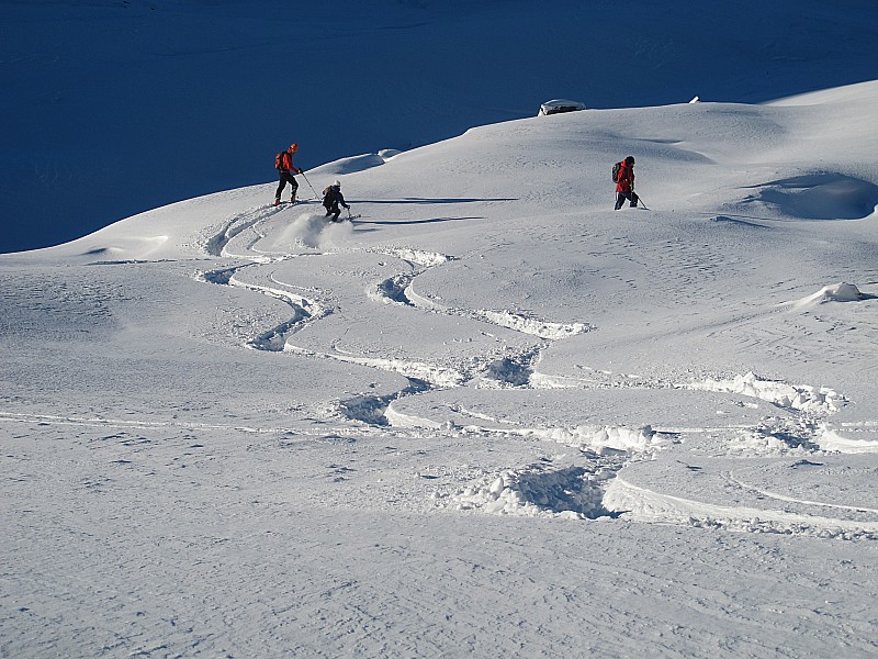 #6 Premiers virages dans la peuf : Gavage ! Premiers virages dans la peuf : Gavage !