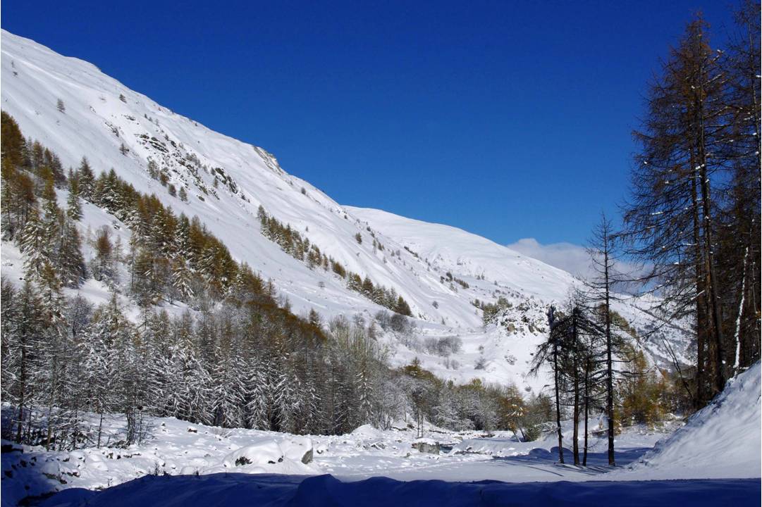 Départ Bonnenuit : C'est parti en configuration hivernale 2013-2014... pas de portage des skis, nous chaussons à la route, dans un environnement repeint en blanc.