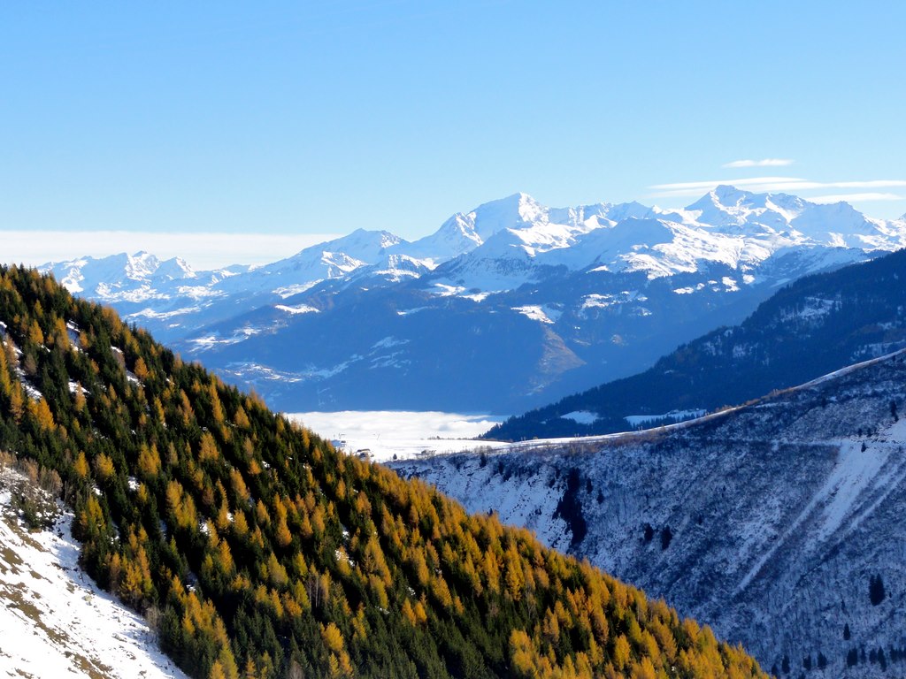 #3 mélèze : et mer de nuage en tarentaise mélèze : et mer de nuage en tarentaise