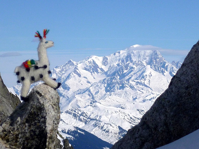 Lamaoutai? : Citation du jour (PascalC): le seul truc de bien dans le Mt Blanc, c'est de le regarder et dire que tu y étais!