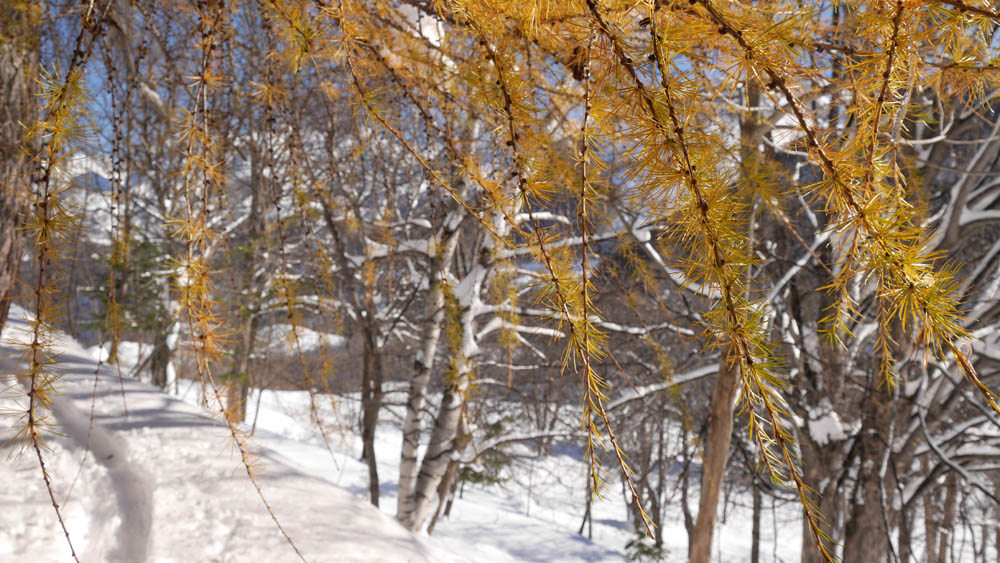 #14 jeux de couleurs jeux de couleurs