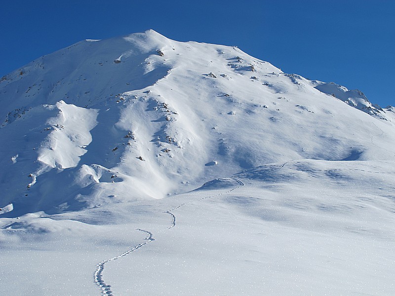 Le Petit Mont Blanc : Encore vierge ...