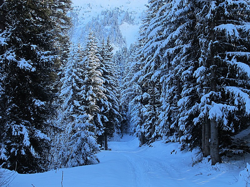 #1 Départ : La piste des Avals Départ : La piste des Avals